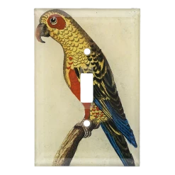John Derian Parrot #6 Decoupage