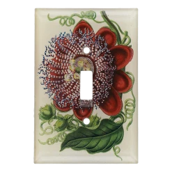 John Derian Passiflora Decoupage 7 John Derian Passiflora Decoupage