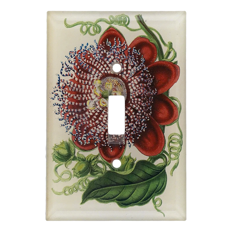 John Derian Passiflora Decoupage 5 John Derian Passiflora Decoupage