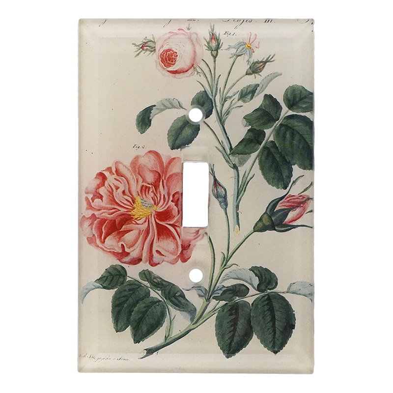 John Derian Rose III Decoupage 5 John Derian Rose III Decoupage