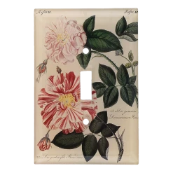 John Derian Decoupage Rose XII