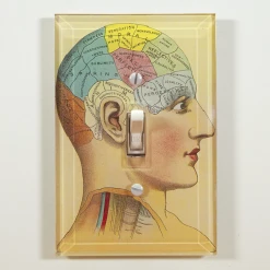 John Derian Aspiring Decoupage