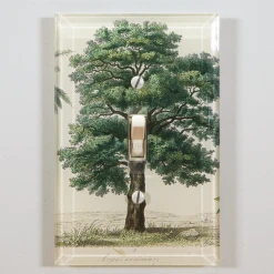 John Derian Branches