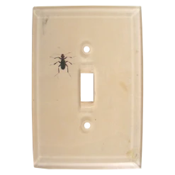 John Derian Dark Bug Decoupage