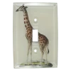 John Derian Giraffe