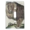 John Derian Lion Decoupage 1 John Derian Lion Decoupage