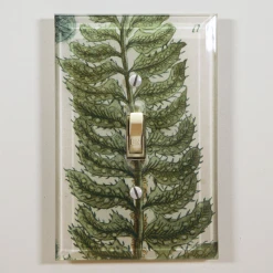 John Derian Lonchite N. 672 Decoupage