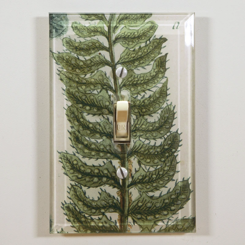 John Derian Lonchite N. 672 Decoupage 3 John Derian Lonchite N. 672 Decoupage