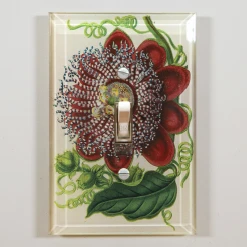 John Derian Passiflora Decoupage