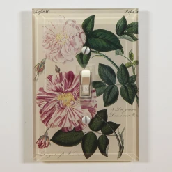 John Derian Decoupage Rose XII