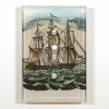 John Derian Ships Ahoy