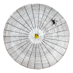 John Derian X ADV Spider Web Saucer