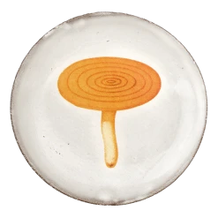 John Derian X ADV Agaric Caustique Saucer