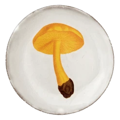 John Derian X ADV Agaric Couleur De Soufre Saucer