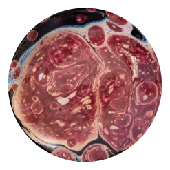 John Derian X ADV Black Blue & Red Marble Plate (Saucer) Dining & Tabletop