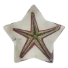 John Derian Starfish Fig. 1 Decoupage 1 John Derian Starfish Fig. 1 Decoupage