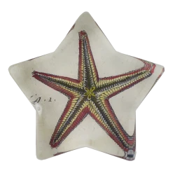 John Derian Starfish Fig. 1 Decoupage