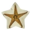 John Derian Longpoint Starfish