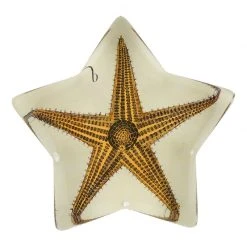 John Derian Longpoint Starfish