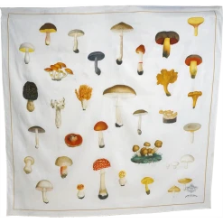 Arts & Science Co., Ltd. Ceramic & Porcelain Fruit Mushrooms