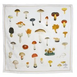 Arts & Science Co., Ltd. Ceramic & Porcelain Fruit Mushrooms