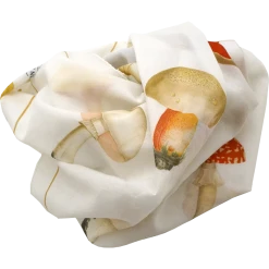 Arts & Science Co., Ltd. Ceramic & Porcelain Fruit Mushrooms