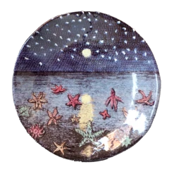 John Derian X ADV Starfish & Starry Night Small Plate Picture Book Images