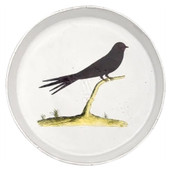 John Derian X ADV Swift Dish