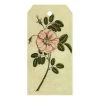John Derian Company Inc Painted Rose Small Goods 2 John Derian Company Inc Painted Rose Small Goods