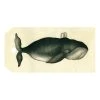 John Derian Company Inc Small Goods Spouting Whale 1 John Derian Company Inc Small Goods Spouting Whale