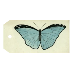John Derian Company Inc Blue Butterfly