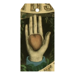 John Derian Company Inc Heart In Hand Picture Book Images