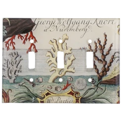 John Derian Corals By The Sea