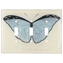 John Derian Pale Blue Butterfly