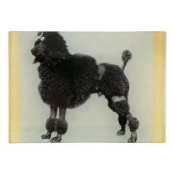 John Derian Decoupage Penelope