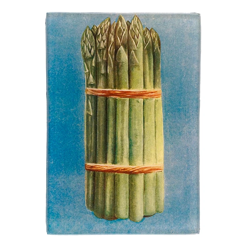 John Derian Decoupage Asparagus 3 John Derian Decoupage Asparagus