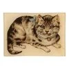 John Derian Kitty