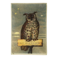 John Derian Owl Gallery