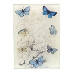 John Derian Polyommatus Decoupage
