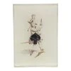 John Derian Cards - Spades - Ace Decoupage
