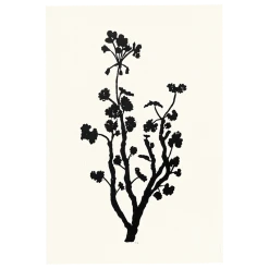 Hugo Guinness Tall Geranium Art & Objects