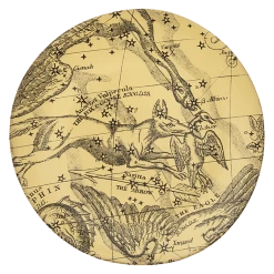 John Derian X ADV The Fox Plate Dining & Tabletop