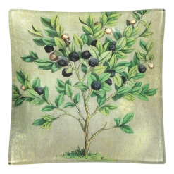 John Derian Blueberries Decoupage