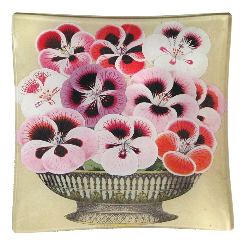 John Derian Pansy Decoupage 3 John Derian Pansy Decoupage