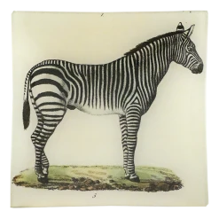 John Derian Zebra Decoupage