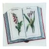 John Derian Plant Book 1 John Derian Plant Book