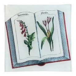 John Derian Plant Book