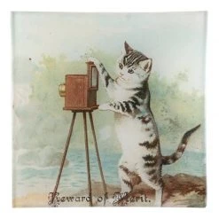 John Derian Reward Of Merit (Cat)