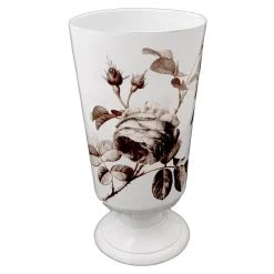 John Derian X ADV Picture Book Images Sepia Rose Vase