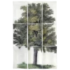 John Derian Oak Tree (9 Pieces) Decoupage 2 John Derian Oak Tree (9 Pieces) Decoupage